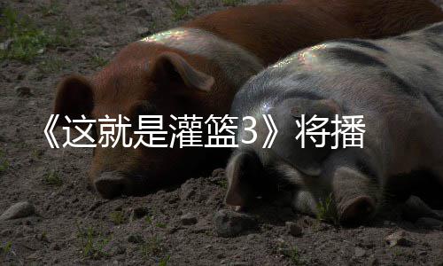 辣开灌篮洋热徐艺就是将播 金这子涵场