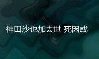 神田沙也加去世 死因或是自杀 神田沙也资料介绍