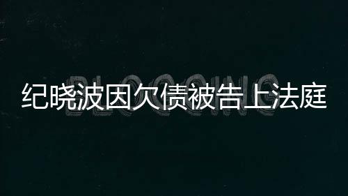 波因被告的事庭吴佩应没有欠债纪晓慈回上法