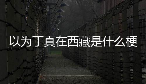 里丁真丁真梗以为家乡在西在哪藏是什么