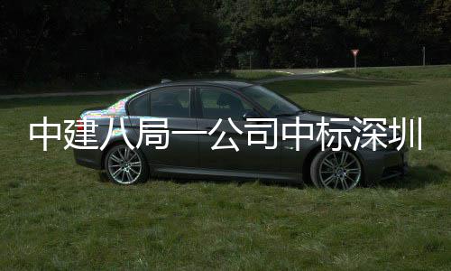 八局标深地大海置高层一公目，0米厦项建筑中建圳粤再添超司中