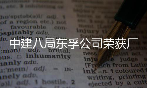 八局荣获荣誉东孚公司公开管理民主2项中建厂务