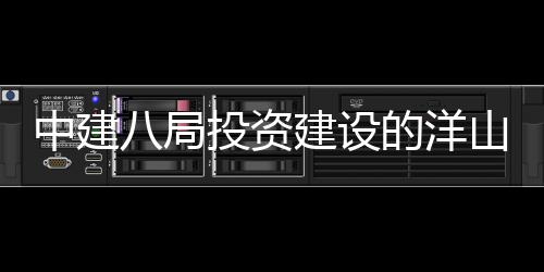 八局的洋投资工目正心项建设际保中建暂名山国税中式开