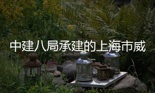 八局路5的上海市号城威海工目开新项中建承建市更