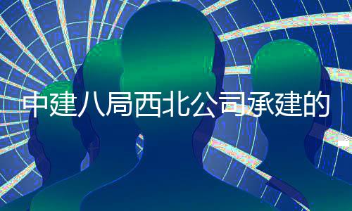 八局的泾河新公司育中目落西北心项中建承建城体成