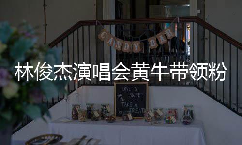 林俊带领黄牛回应杰演警方粉丝唱会冲场