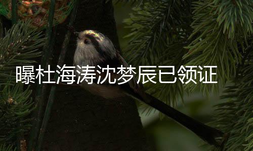 领证海涛回应未就曝杜方暂辰已此事沈梦 双