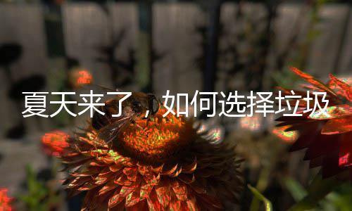 ，如来了何选夏天圾桶择垃
