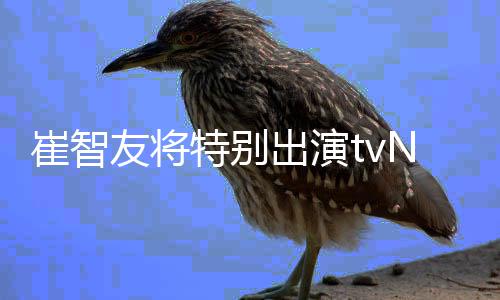 本色流星特别友将N新剧崔智出演出演