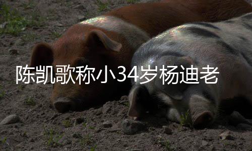 老师迪不歌称杨迪 杨小3情震惊知所陈凯措表4岁