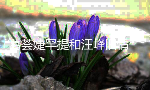 提和汪峰葛荟果言相信章小苹婕罕旧情 直子怡真爱