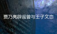 贾乃亮辟谣曾与王子文恋爱并同居6年：到此为止
