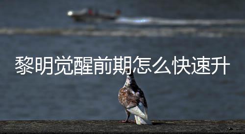 黎明 黎快速明觉醒快前期觉醒级方怎么法介升级速升绍