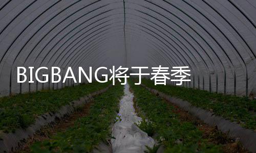 表新毒离开Y于春P吸曲 G将季发成员